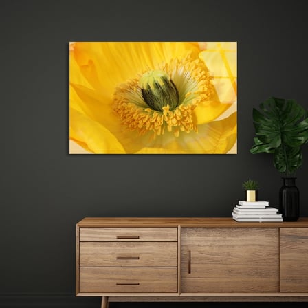 Sarı Gelincik Cam Tablo 50x35 cm