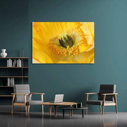 Sarı Gelincik Cam Tablo 50x35 cm