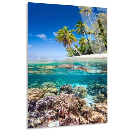Tropik Plaj Palmiye Cam Tablo 50x70 cm