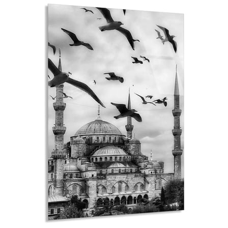 Sultanahmet Camii Kuşlar Cam Tablo 35x50 cm