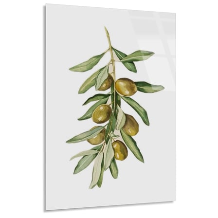 Zeytin Dalı Suluboya Cam Tablo 35x50 cm