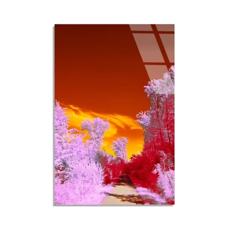 Pembe Kızılötesi Orman Cam Tablo 35x50 cm