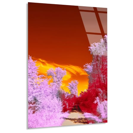 Pembe Kızılötesi Orman Cam Tablo 35x50 cm
