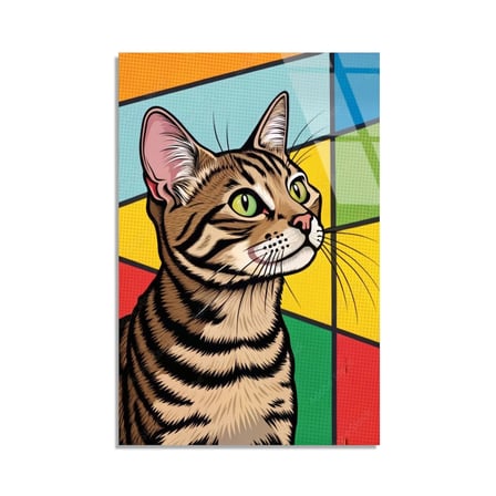 Pop Art Tekir Kedi Cam Tablo 35x50 cm