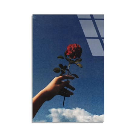 Gökyüzüne Uzanan Kırmızı Gül Cam Tablo 35x50 cm