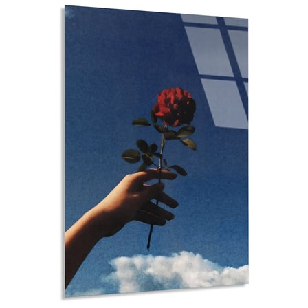 Gökyüzüne Uzanan Kırmızı Gül Cam Tablo 35x50 cm