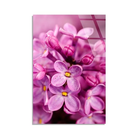 Pembe Leylak Çiçekleri Cam Tablo 60x90 cm