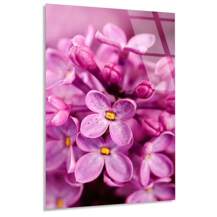 Pembe Leylak Çiçekleri Cam Tablo 60x90 cm