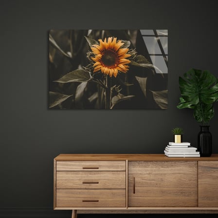 Sarı Ayçiçeği Cam Tablo 50x35 cm