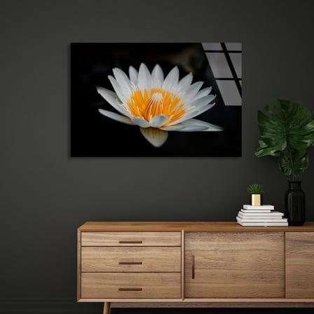 Beyaz Lotus Çiçeği Cam Tablo 50x35 cm
