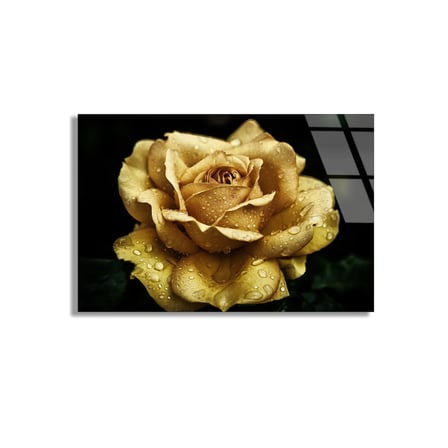 Altın Sarı Gül Cam Tablo 50x35 cm