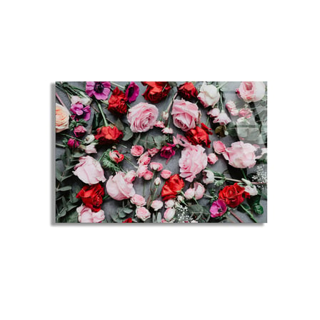 Pembe Kırmızı Güller Cam Tablo 50x35 cm