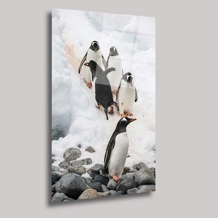 Penguenler Cam Tablo 35x50 cm