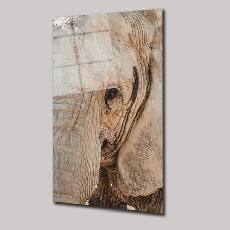 Yaşlı Fil Cam Tablo 35x50 cm