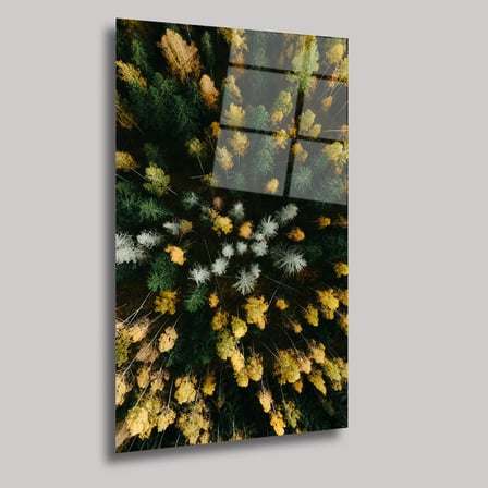 Ormanın Rengi Cam Tablo 35x50 cm