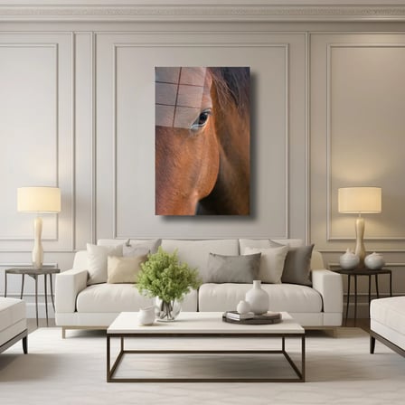 Atın Gözleri Cam Tablo 35x50 cm