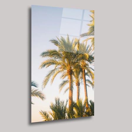 Palmiyeler Cam Tablo 35x50 cm