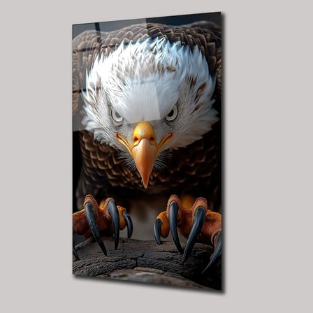 Kara Kartal Cam Tablo 35x50 cm