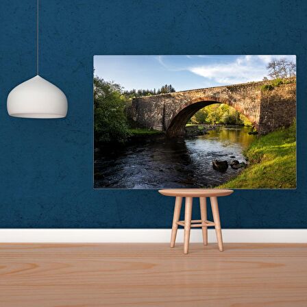 Tuval Üzerine Dijital Baskı Modern Sanatsal Kanvas Tablo 35x50 Tablo-