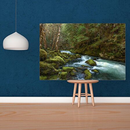 Tuval Üzerine Dijital Baskı Modern Sanatsal Kanvas Tablo 35x50 Tablo-