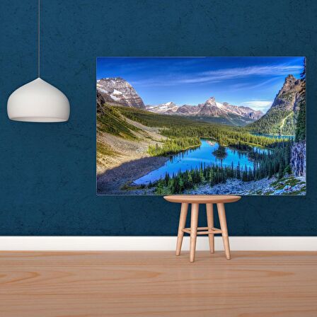 Tuval Üzerine Dijital Baskı Modern Sanatsal Kanvas Tablo 35x50 Tablo-