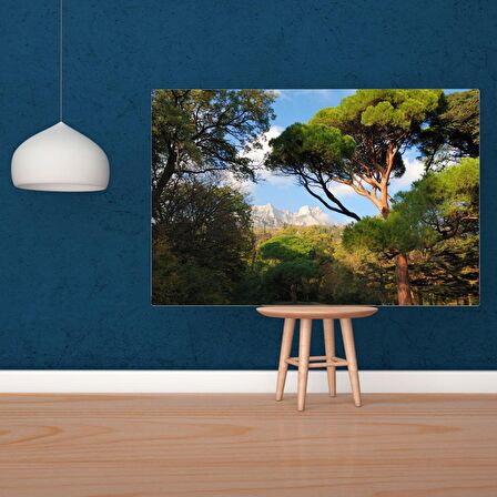 Tuval Üzerine Dijital Baskı Modern Sanatsal Kanvas Tablo 35x50 Tablo-