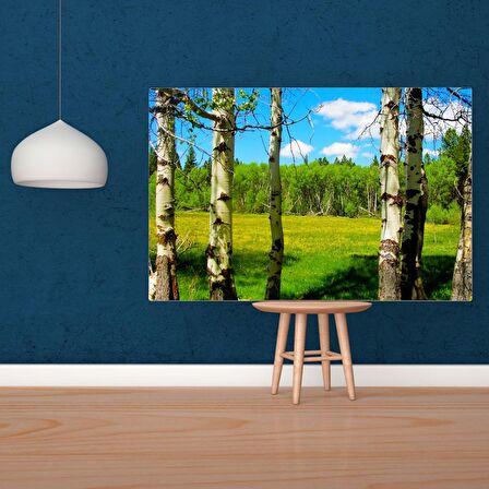 Tuval Üzerine Dijital Baskı Modern Sanatsal Kanvas Tablo 35x50 Tablo-
