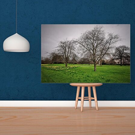 Tuval Üzerine Dijital Baskı Modern Sanatsal Kanvas Tablo 35x50 Tablo-