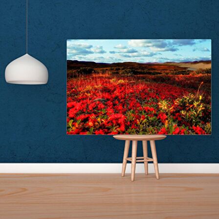 Tuval Üzerine Dijital Baskı Modern Sanatsal Kanvas Tablo 35x50 Tablo-