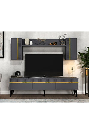 DEFNEDH 180 CM TV ÜNİTESİ ANTRASİT ALTIN