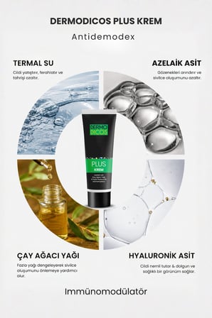 Dermodicos Plus Gece Kremi 30 ml (% 10 TTO % 20 Azelaik Asit)