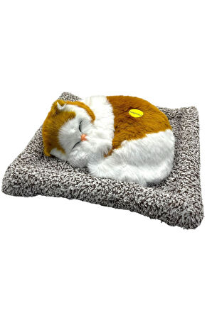 Sesli Peluş Yatan Kedi