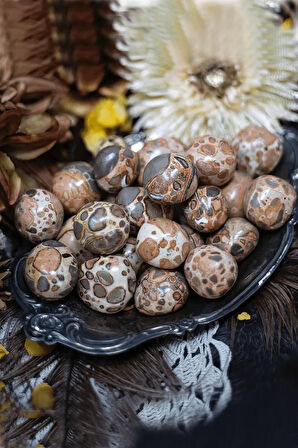 Sertifikalı Riyolit Taşı Kütle (leopardite)