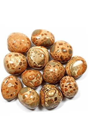 Sertifikalı Riyolit Taşı Kütle (leopardite)