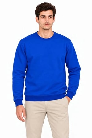 Erkek Bisiklet Yaka İçi Şardonlu 2 İplik Düz Uzun Kollu Regular Fit Sweatshirt - Mavi