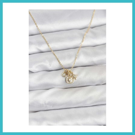 DEFNE STORE Pirinç Gold Renk Minimal Charmlı Kadın Kolye DFNBEZ