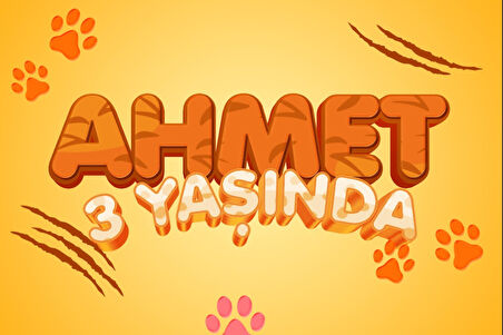 Pati Temalı Doğum Günü Afişi - 35x50 Cm