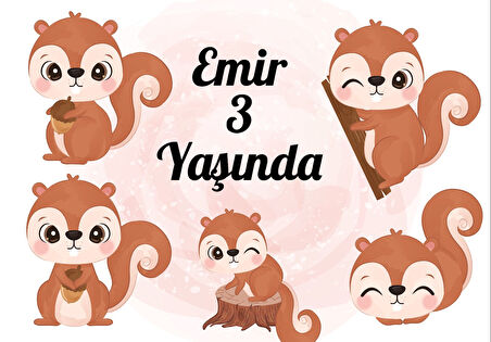 Sincap Temalı Doğum Günü Afişi - 50x70 Cm