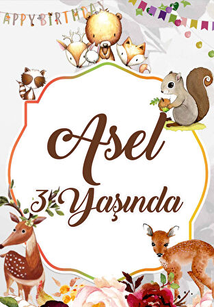 Sincap ve Sevimli Hayvanlar Temalı Doğum Günü Afişi 70 x 100