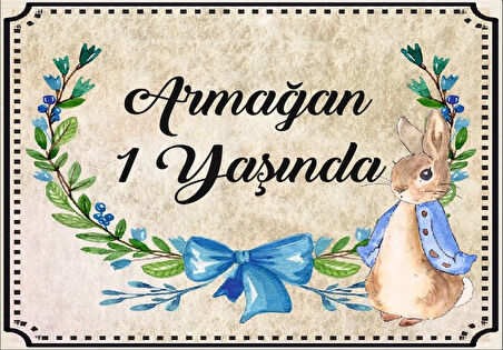 Tavşan Temalı Doğum Günü Afişi 35X50 cm