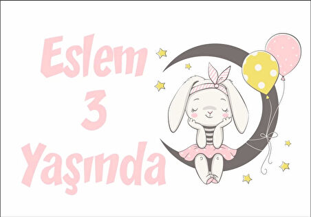 Ayda Oturan Tavşan Temalı Doğum Günü Afişi 50X70 cm