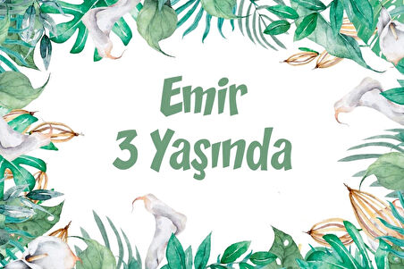 Zebra Temalı Doğum Günü Afişi -1 35X50 cm