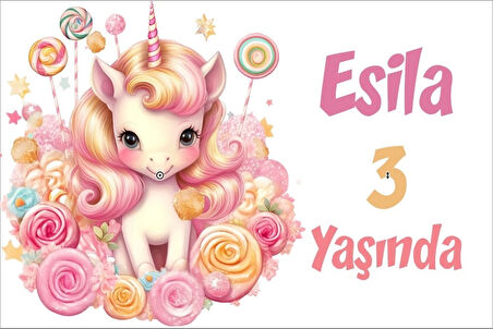 Pembe Unicorn Temalı Doğum Günü Afişi -6 70X100 cm