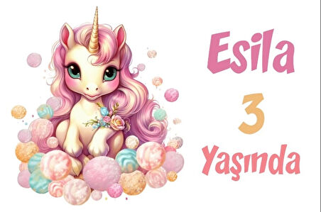 Pembe Unicorn Temalı Doğum Günü Afişi -8 50X70 cm
