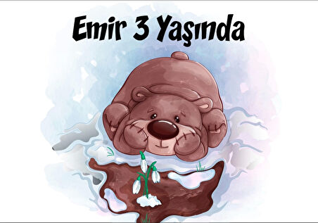 Ayıcık Temalı Doğum Günü Afişi 35X50 cm