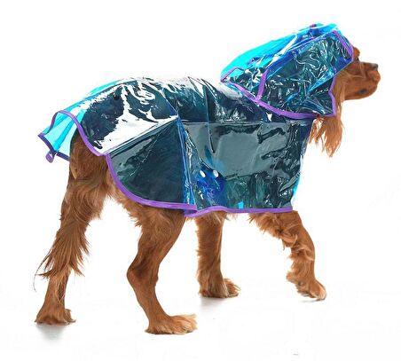 Köpek Küçük ve Orta Irk Yağmurluk Otso Şeffaf Mavi