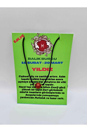 Balık Burcu Yıldız Taşı Doğal Taş Kolye