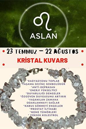 Aslan Burcu Burç Bilekliği