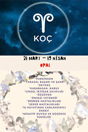 Koç Burcu Burç Bilekliği