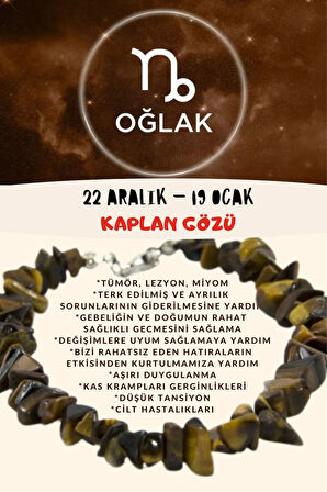 Sertifikalı Burç Taşı Oğlak Burcu Kaplan Gözü Taşı Bileklik